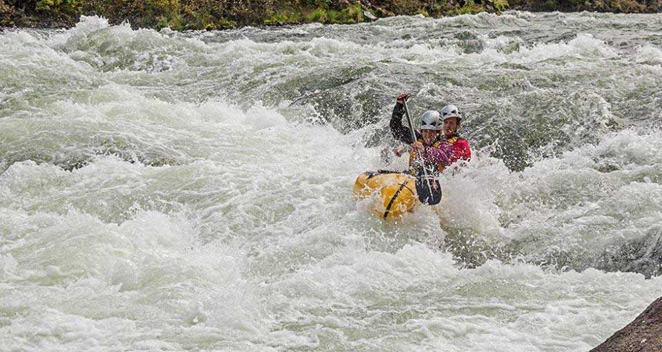 You are currently viewing CBD for Racing and Recovery