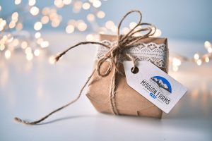 Read more about the article Best CBD Holiday Gift Guide 2023