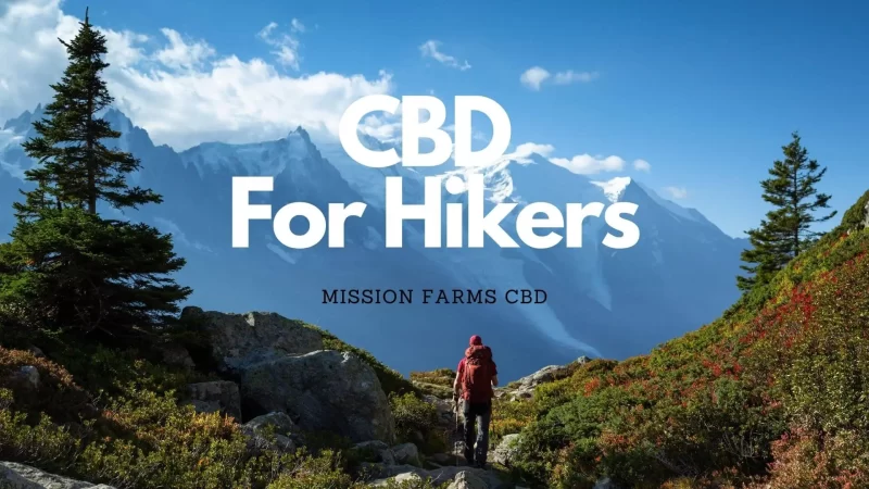 CBD For Hikers