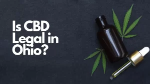 Read more about the article Is CBD Legal in Ohio?