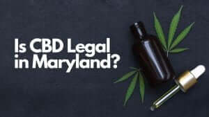Read more about the article Is CBD Legal in Maryland